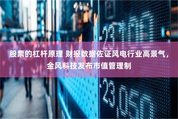 股票的杠杆原理 财报数据佐证风电行业高景气，金风科技发布市值管理制