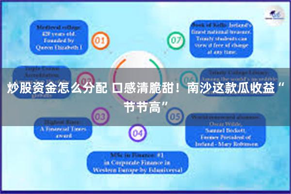 炒股资金怎么分配 口感清脆甜！南沙这款瓜收益“节节高”