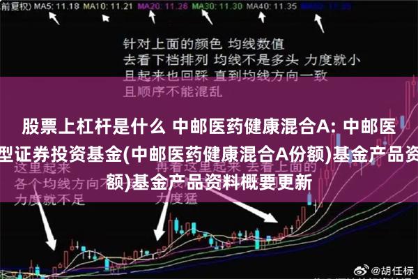 股票上杠杆是什么 中邮医药健康混合A: 中邮医药健康混合型证券投资基金(中邮医药健康混合A份额)基金产品资料概要更新