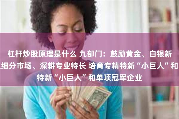 杠杆炒股原理是什么 九部门：鼓励黄金、白银新材料企业专注细分市场、深耕专业特长 培育专精特新“小巨人”和单项冠军企业