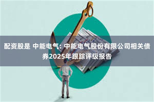 配资股是 中能电气: 中能电气股份有限公司相关债券2025年跟踪评级报告